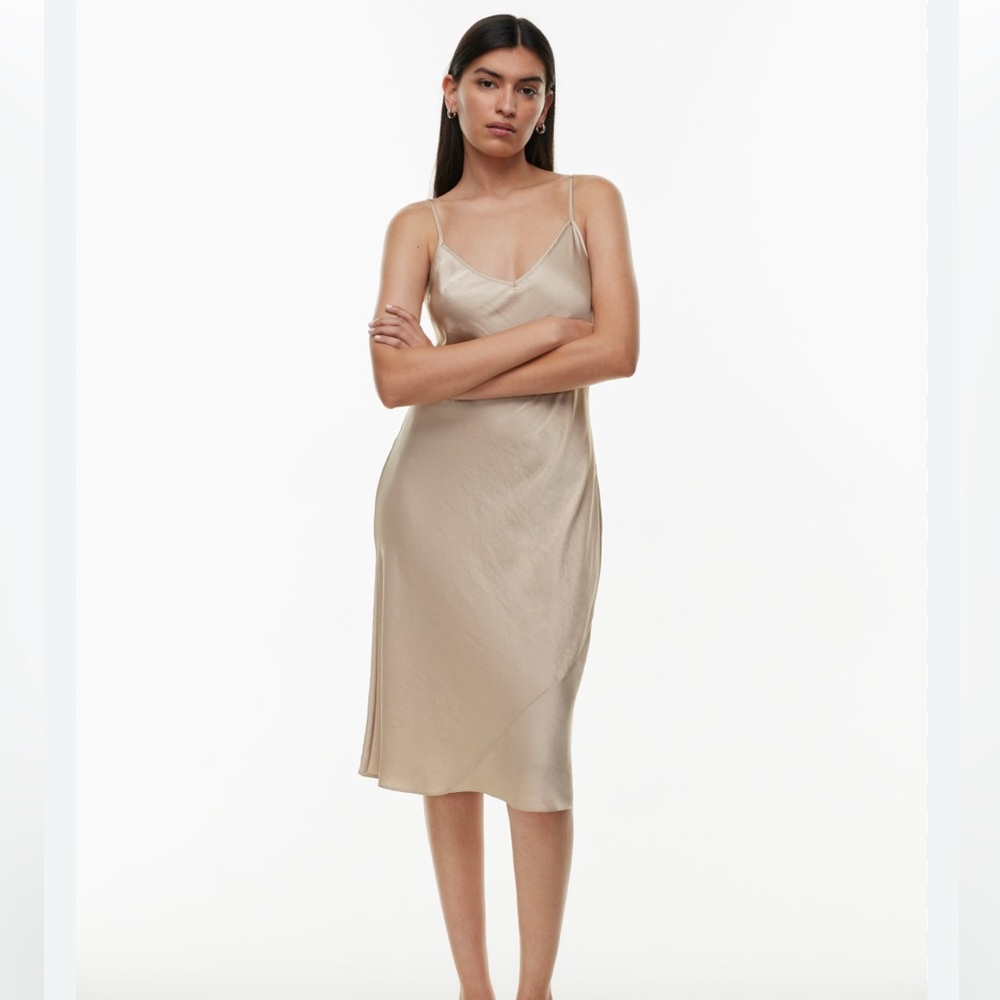 Aritzia Slip Dress